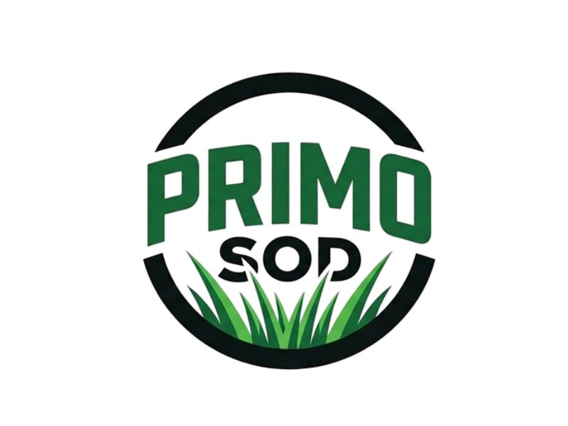 Primo Sod logo design by Hadisk