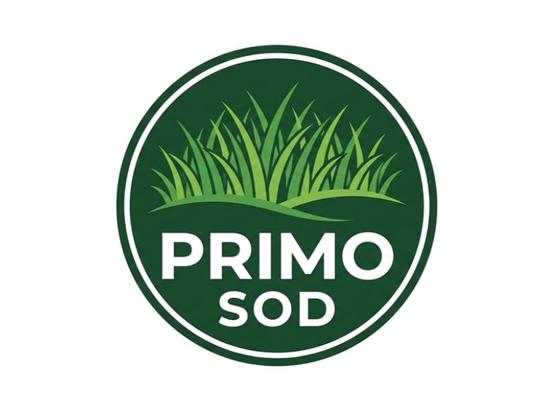 Primo Sod logo design by Hadisk