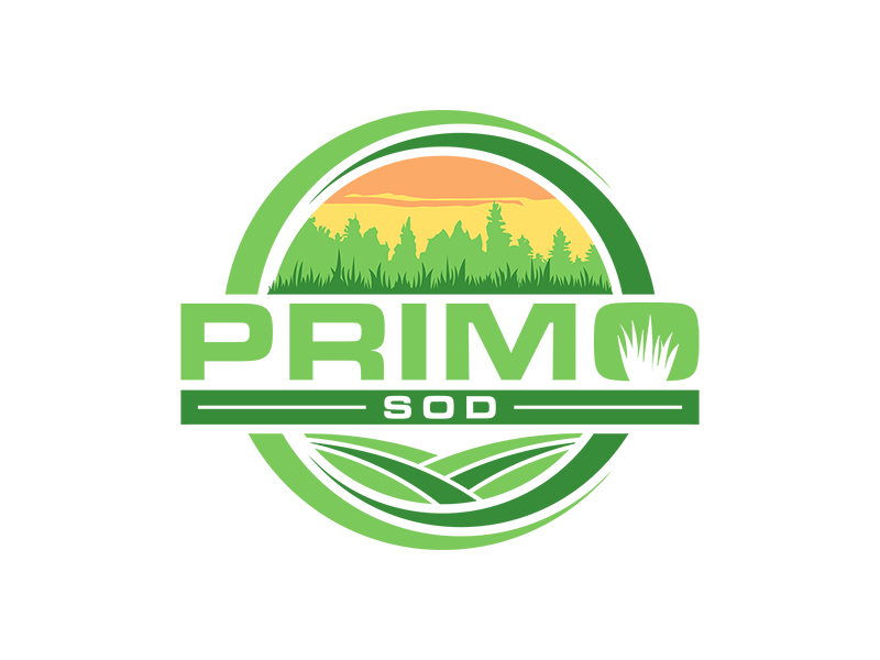  logo design by planoLOGO
