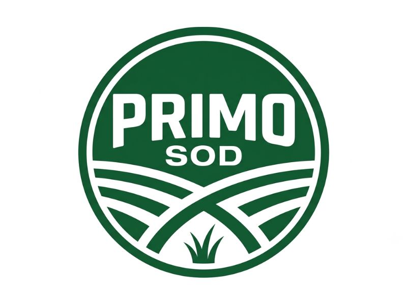 Primo Sod logo design by Hadisk