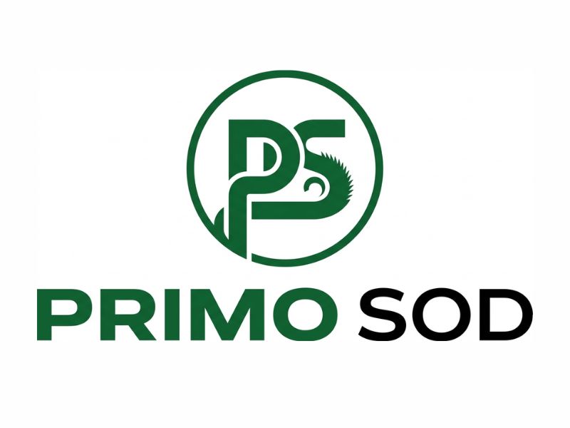  logo design by Hadisk