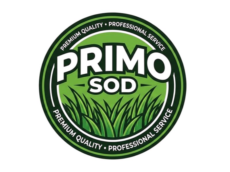 Primo Sod logo design by Hadisk