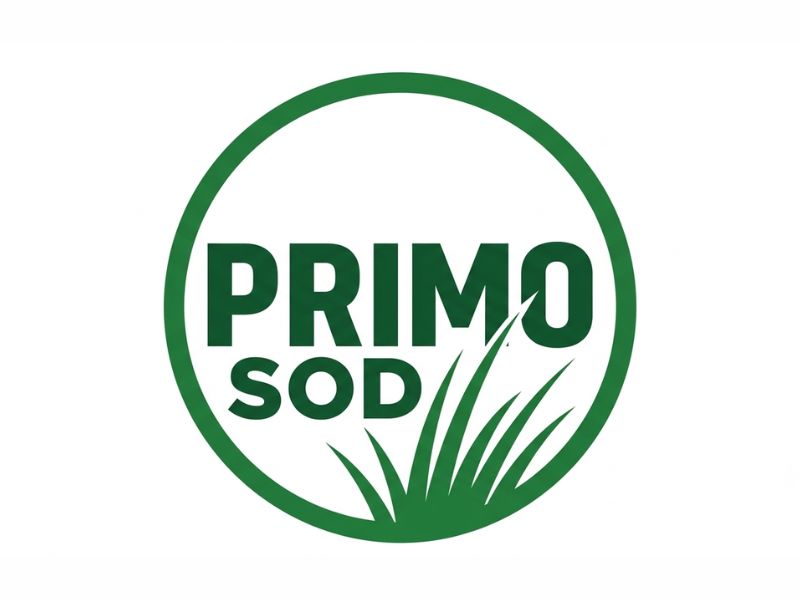 Primo Sod logo design by gokelu