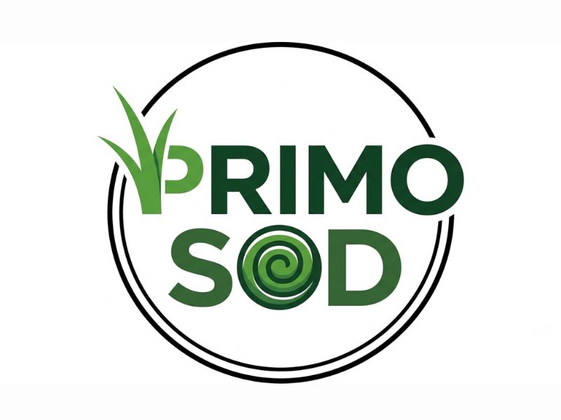 Primo Sod logo design by gokelu