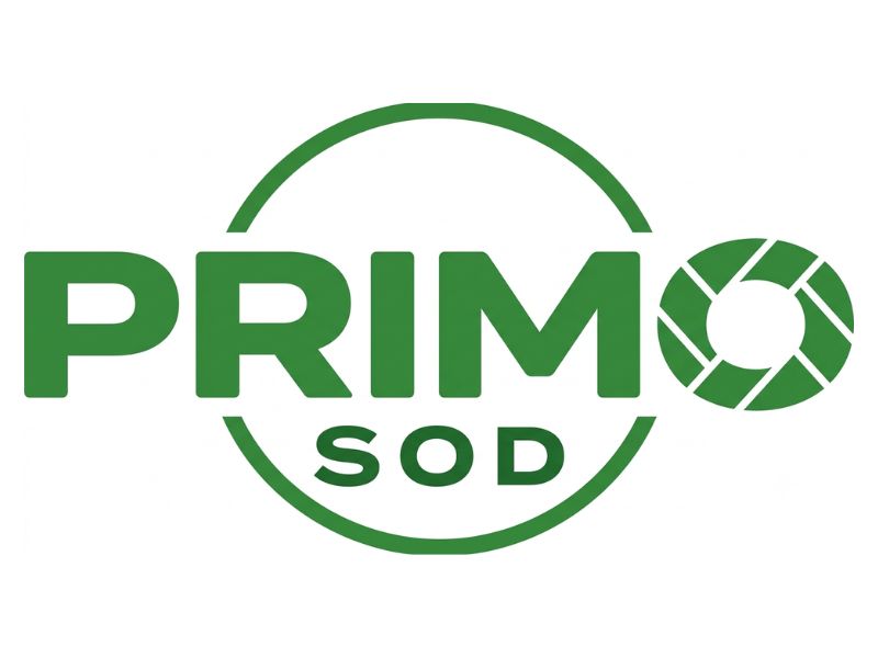 Primo Sod logo design by Hadisk