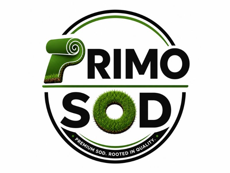  logo design by gokelu