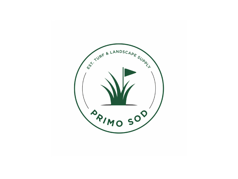  logo design by Sami Ur Rab