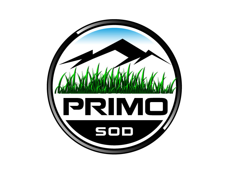  logo design by Avijit