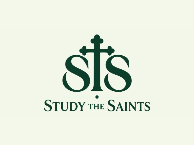 Study the Saints logo design by Marena