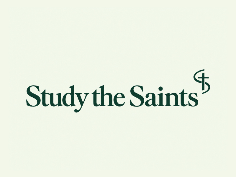 Study the Saints logo design by pixalrahul