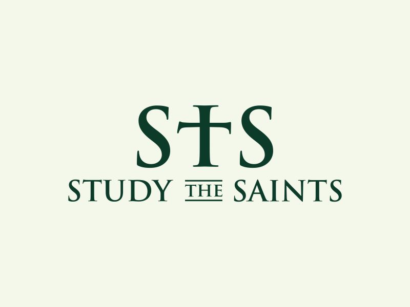  logo design by aura