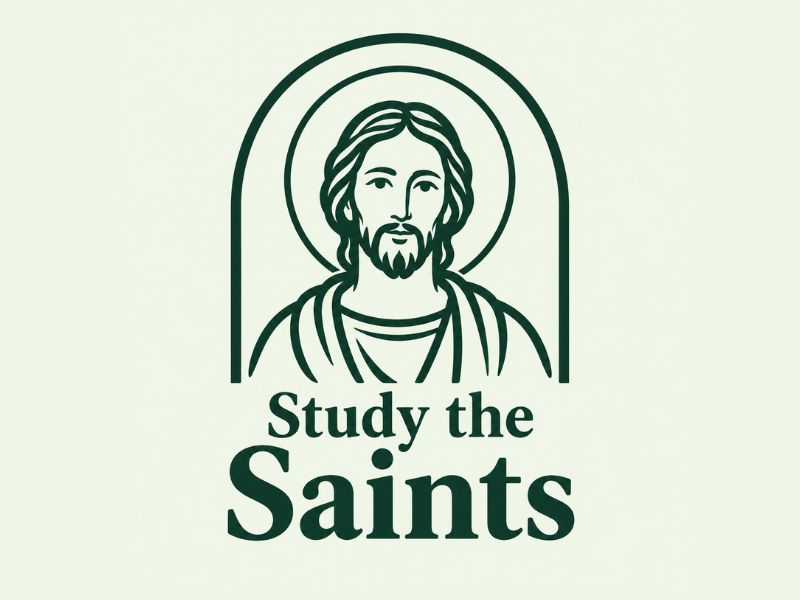 Study the Saints logo design by Paradiseg