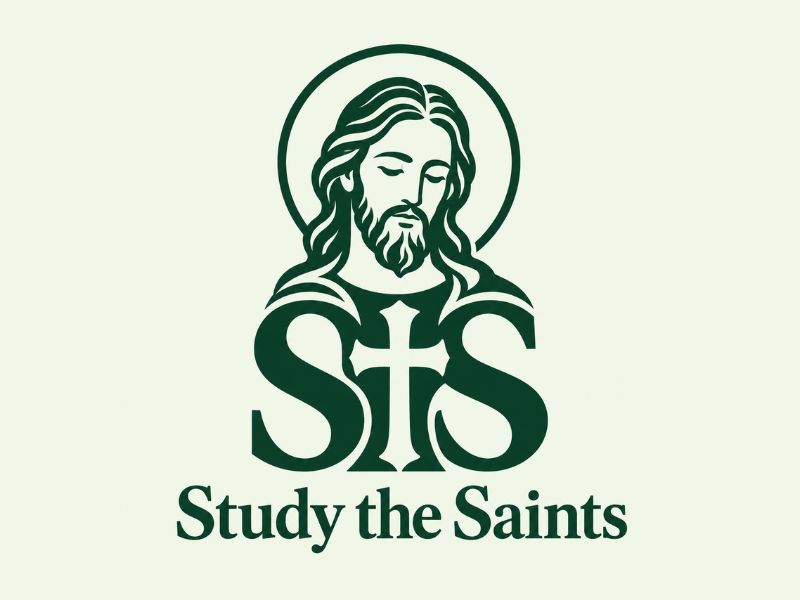 Study the Saints logo design by Paradiseg