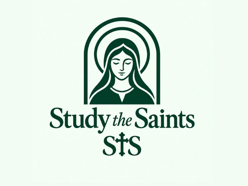 Study the Saints logo design by Michael Luutu