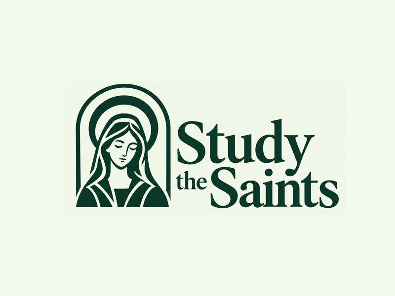Study the Saints logo design by nikkiblue