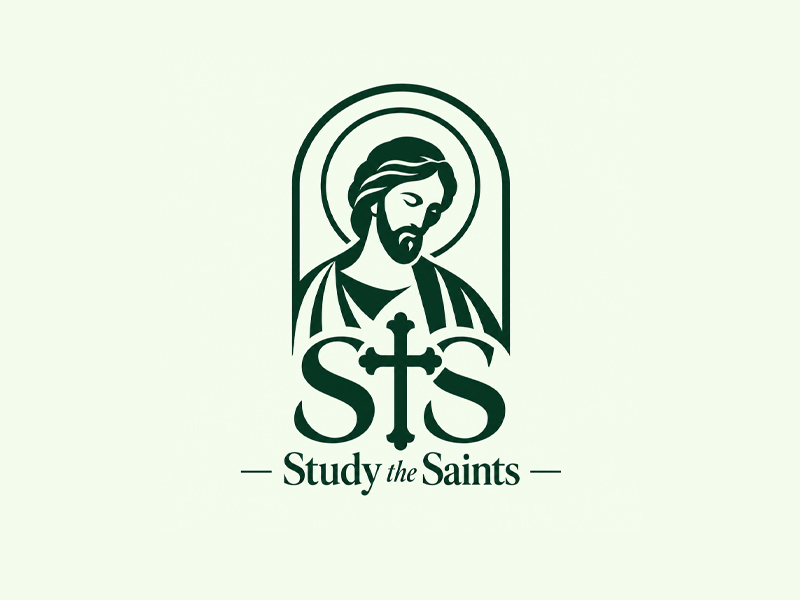Study the Saints logo design by nikkiblue
