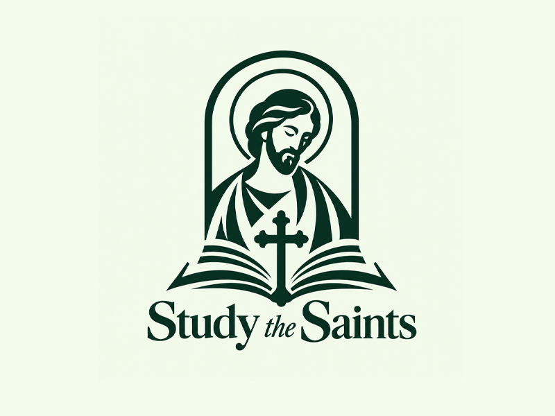 Study the Saints logo design by nikkiblue