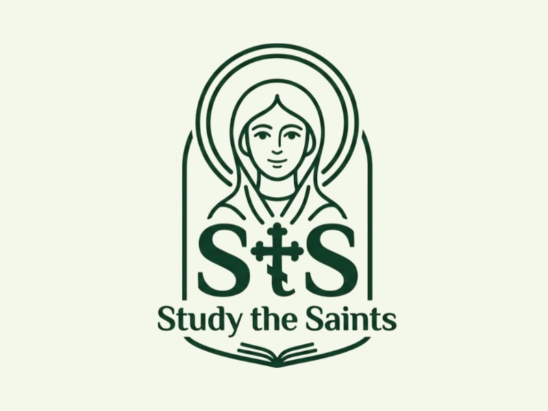  logo design by D_king